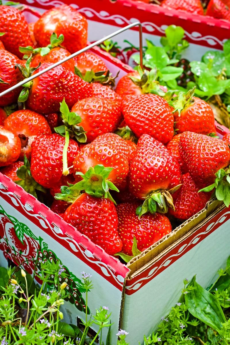 fresh strawberries in box, ready for strawberry shortcake
