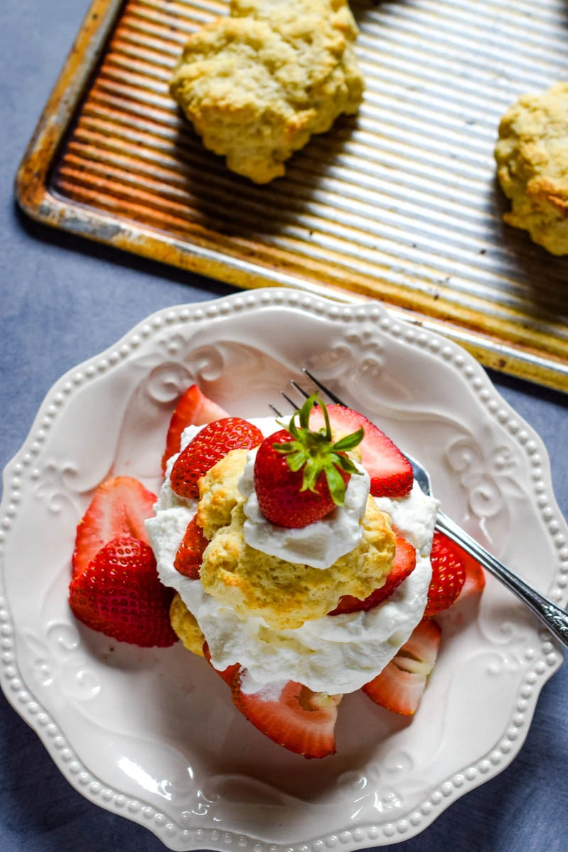 strawberry shortcake with biscuits on white plate with fork