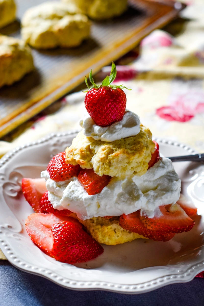 strawberry shortcake made with biscuit, whipped cream, and strawberries on white plate with fork