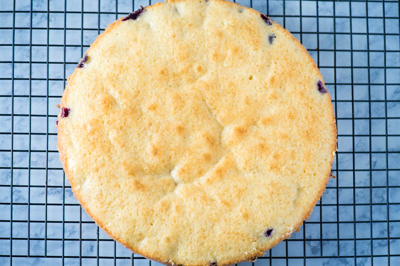 cooling round lemon cake with blueberries on wire rack