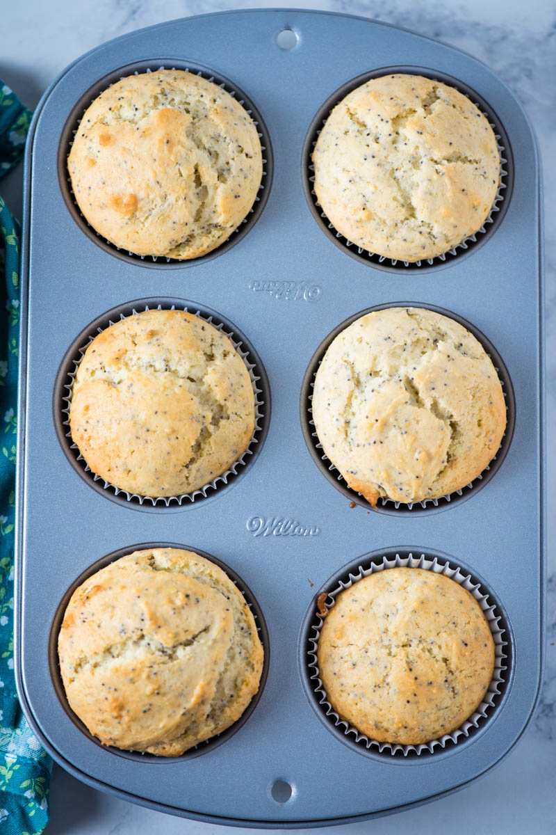 baked lemon poppyseed muffins in muffin tin