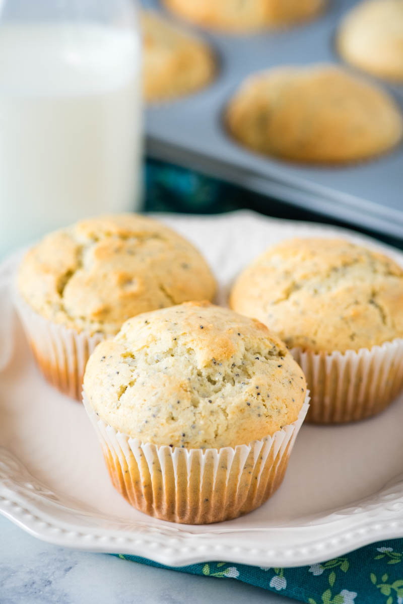 3 lemon poppy seed muffins in cupcake liners sitting on white plate 