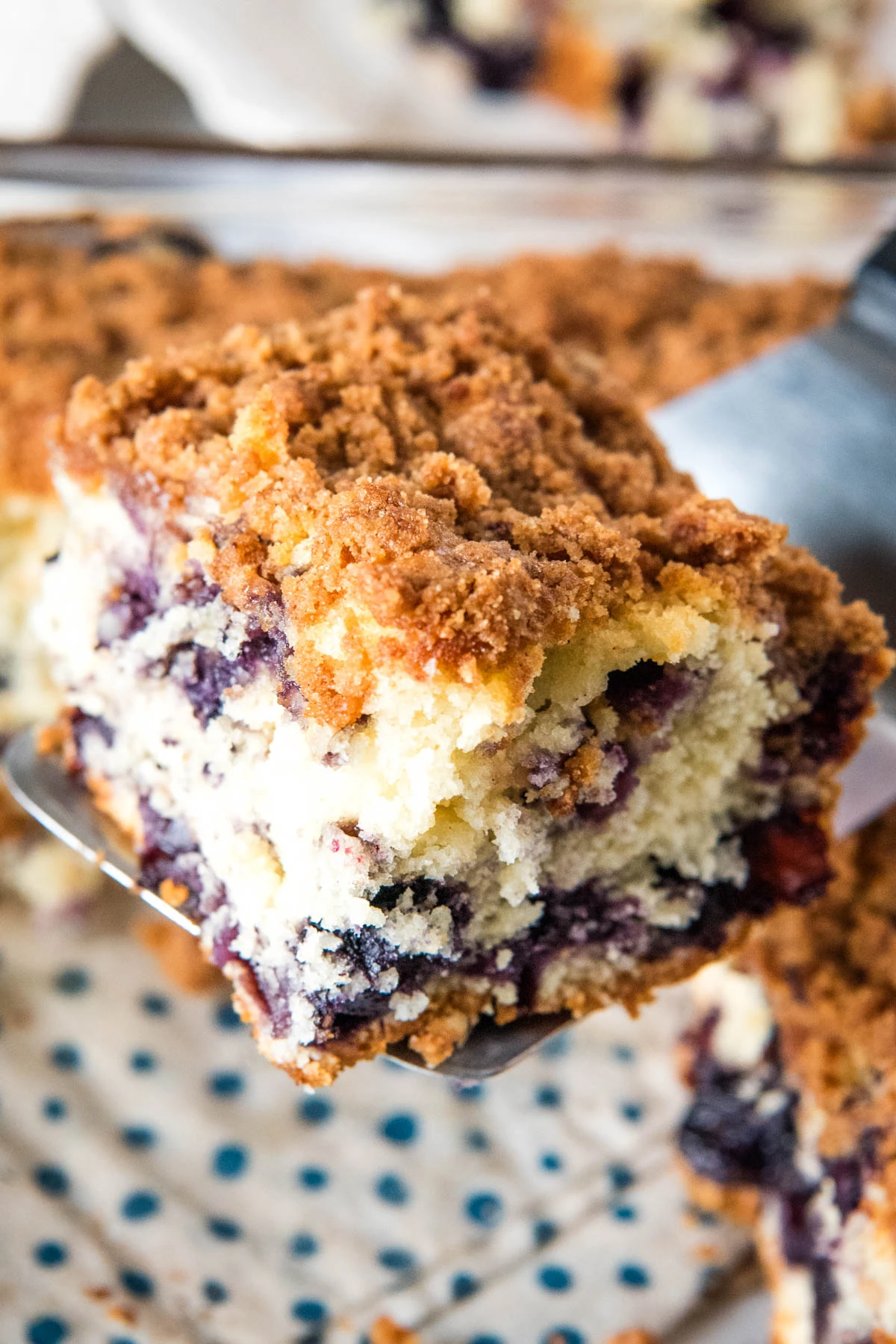 sliced square of blueberry coffee cake with a brown sugar streusel topping on a small silver spatula over a large glass baking dish full of cake